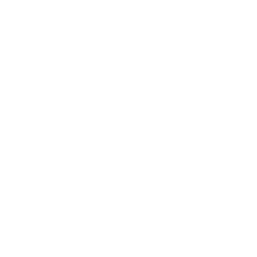 POS Icon